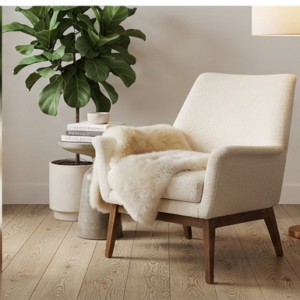 Havenly Mid-Century Ergonomic Accent Chair